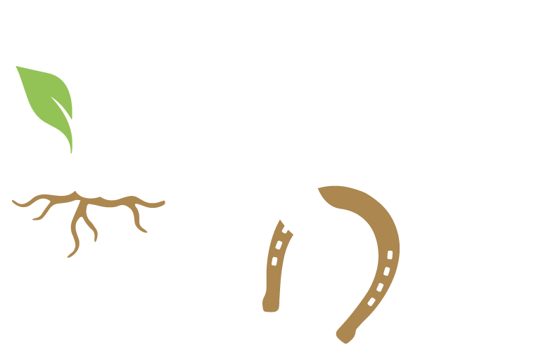 logo le10B